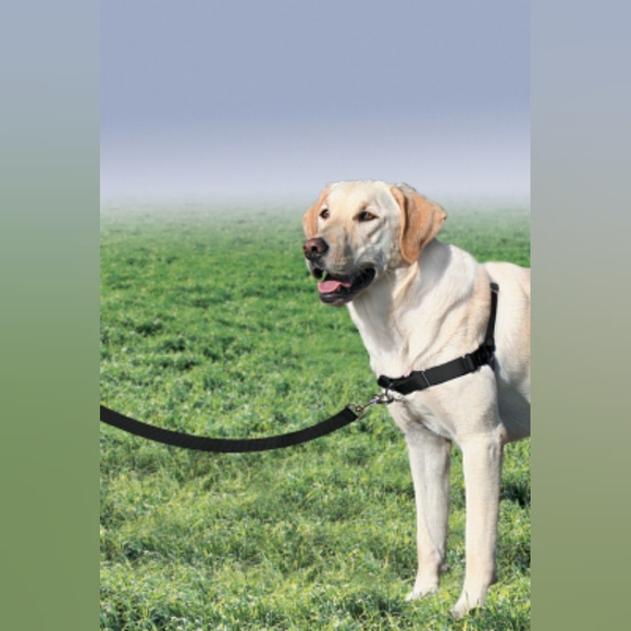 PET SAFE Easy Walk Dog Harness, Medium/Large - Picture 11 of 12
